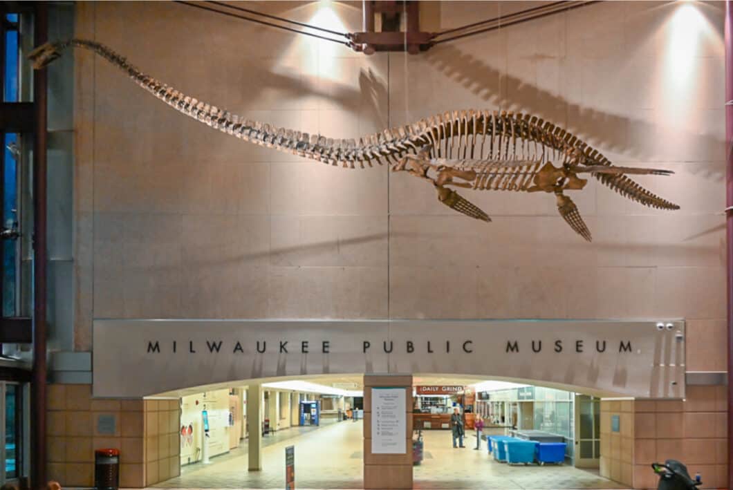 Milwaukee Public Museum Officials Misled The Public About Accreditation ...