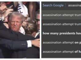 trump assassination attempt