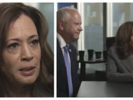 kamala harris cnn interview